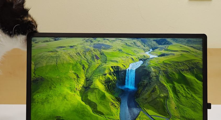 MSI Pro MP161 – Monitor Review